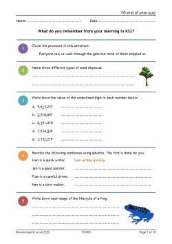 Year 6 quiz - End of year quiz for KS2
