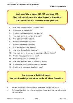 Quidditch questions!