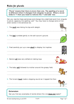 Rules for irregular plurals