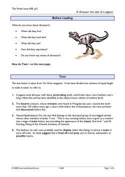 News-based lesson: a dinosaur the size of a pigeon