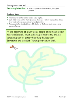 New Year's resolutions display