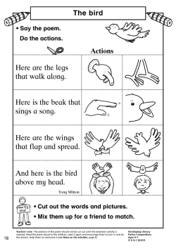 The bird