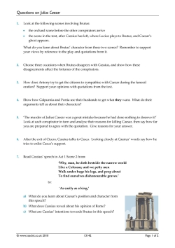 Questions on Julius Caesar