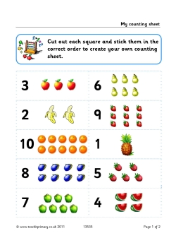 My counting sheet