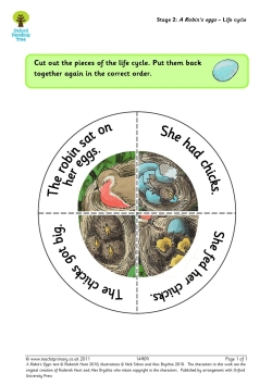 A Robin's Eggs - Life cycle
