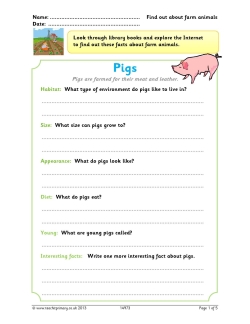 Find out about farm animals