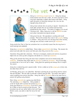 A day in the life of a vet A day in the life of a vet