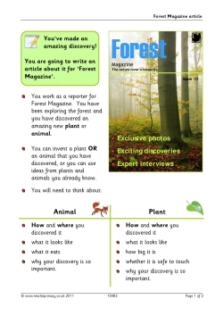 Forest Magazine article
