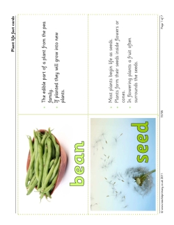 Plant life fact cards