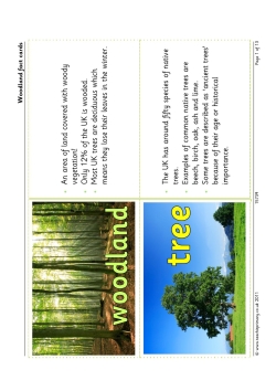 Woodland fact cards