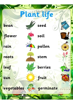 Plant life word mat