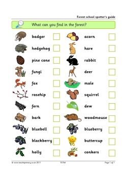 Woodland spotter's guide
