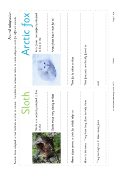 Animal adaptation fact cards