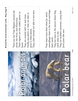 All around the world animal fact cards – Key Stage 2