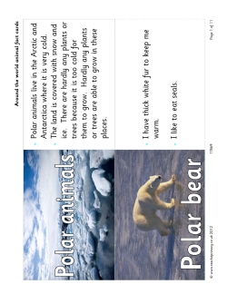 All around the world animal fact cards – Key stage 1