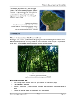 What is the Amazon rainforest like?