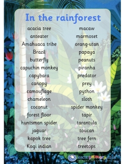 The rainforest - word mat