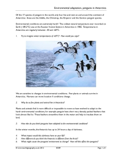 Environmental adaptation, penguins in Antarctica