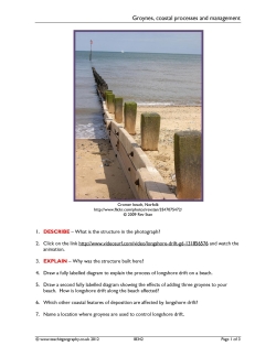 Groynes, coastal processes and management