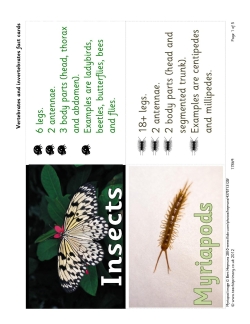 Vertebrates and invertebrates fact cards