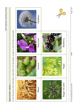 Seed dispersal matching activity