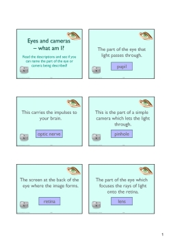 Eyes and cameras – what am I? Eyes and cameras – what am I?