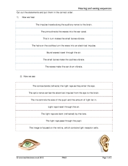 Hearing and seeing sequences