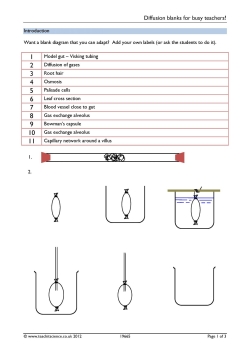 Diffusion blanks for busy teachers Diffusion blanks for busy teachers