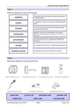 Cells and their specialisms