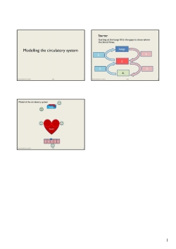 Modelling the circulatory system