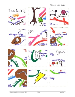 Nitrogen cycle jigsaw Nitrogen cycle jigsaw