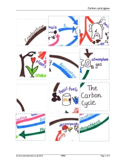 Carbon cycle jigsaw