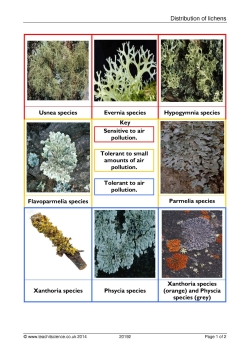Distribution of lichens
