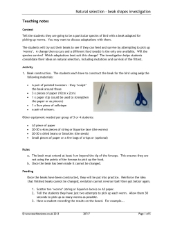Natural selection – beak shapes investigation