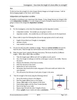 Investigation – how does the length of a bone affect its strength?
