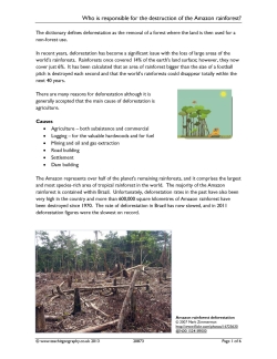 Who is responsible for deforestation in the Amazon rainforest? Who is responsible for deforestation in the Amazon rainforest?