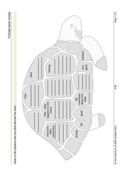 Tortoise book review: complete the tortoise's shell!