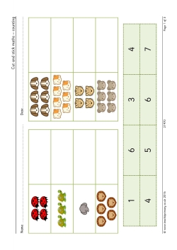 Cut and stick maths - counting Cut and stick maths - counting