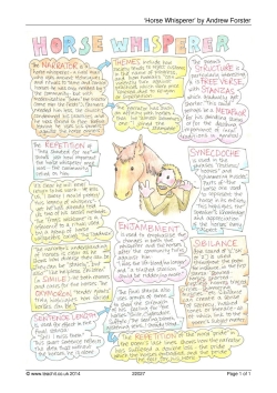 'Horse Whisperer' revision guide