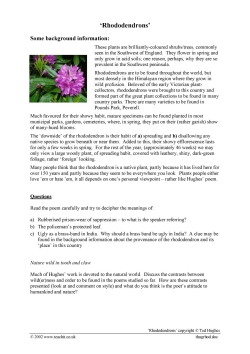 'Rhododendrons'