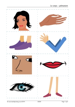 Parts of the body – French vocabulary game