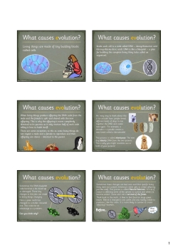 What causes evolution?