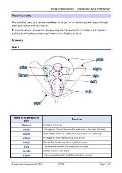 Plant reproduction - pollination and fertilisation