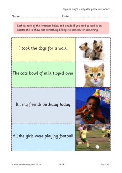 Dogs or dog's – singular possessive nouns