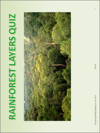Layers of the rainforest quiz