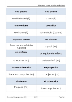 Grammar quest: articles and plurals