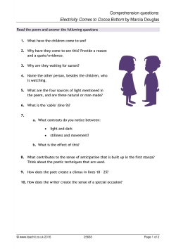 Comprehension questions: 'Electricity Comes to Cocoa Bottom'
