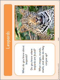 Discovering leopards – a poetry activity