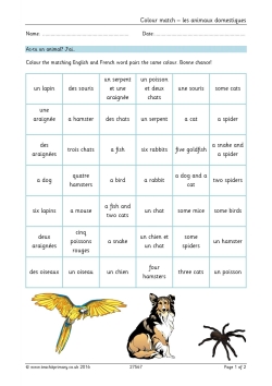 Do you have a pet? French matching activity