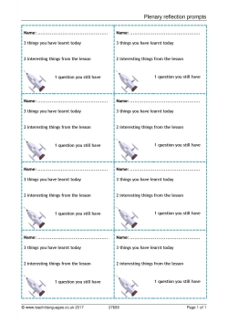 Plenary reflection prompts